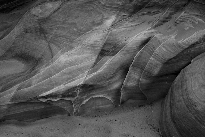 Pink Cyn 13-0259 bw.jpg